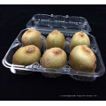 Eco-friendly Disposable Plastic Food Tray for fruit meat (PP tray)